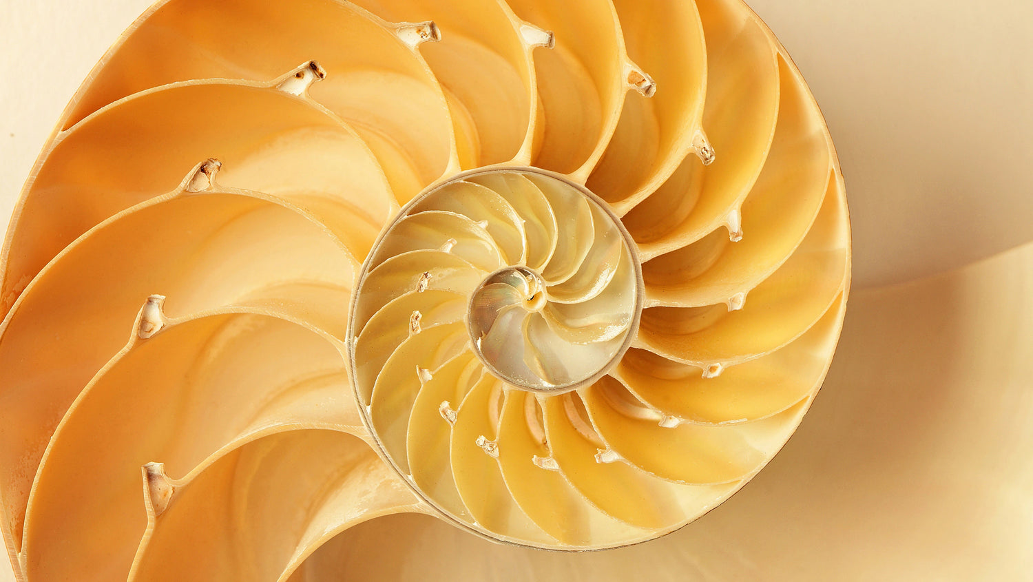 9 Tipps, um Bilder & Fotos perfekt in Szene zu setzen