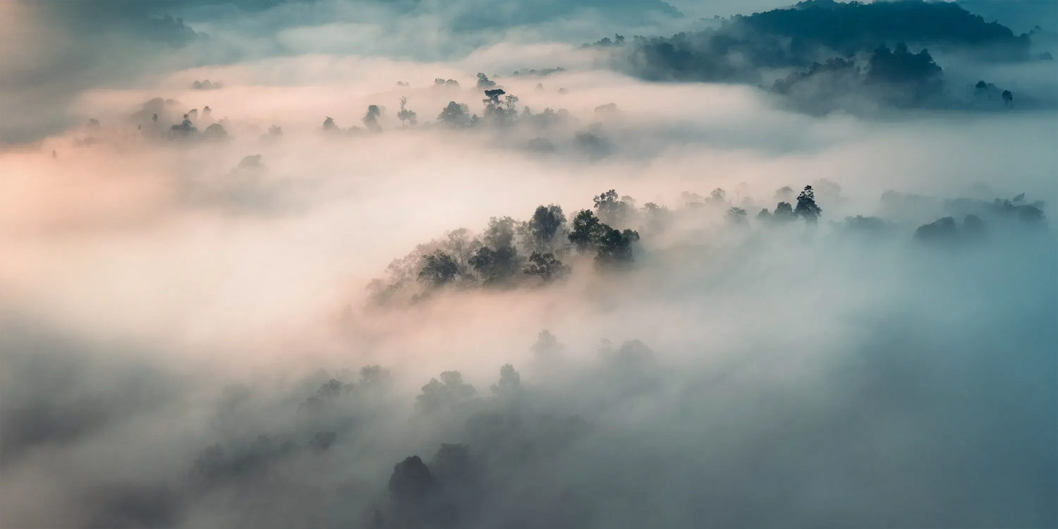 Fotografieren bei schlechtem Wetter: So entstehen starke Bilder bei Regen, Nebel & Co.