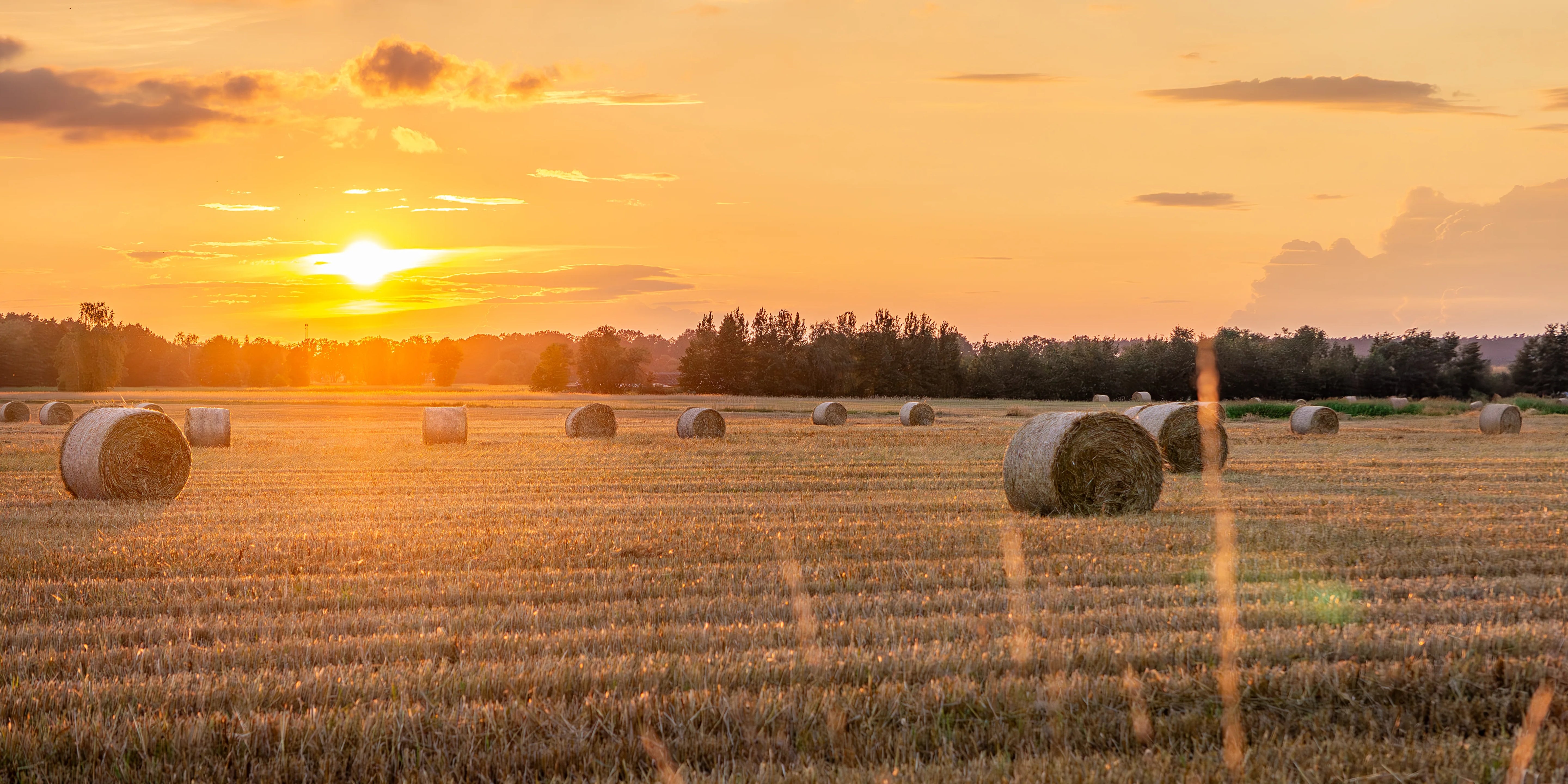 Fotografie in der Goldenen Stunde