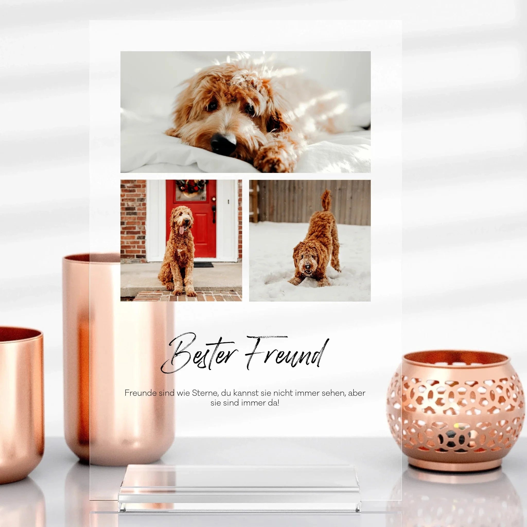 Tier-Aufsteller aus Glas - Aufsteller Acrylglas-Fotoaufsteller - Hoch-/Querformat / Hochformat / 13x20 cm von Schmidt Digitaldruck GmbH