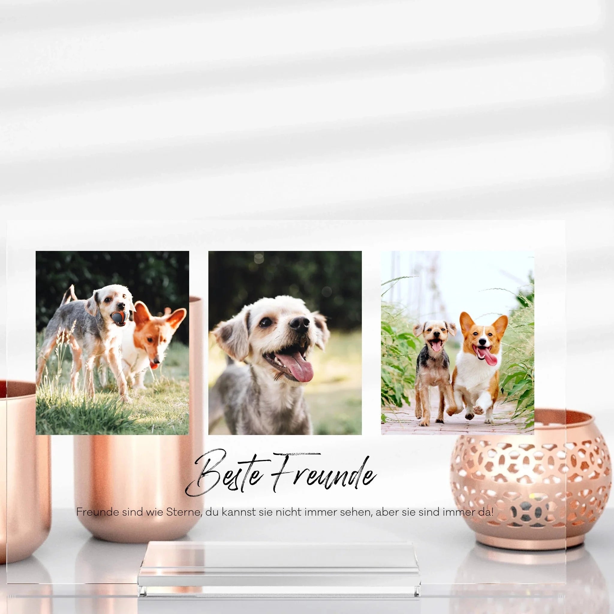 Tier-Aufsteller aus Glas - Aufsteller Acrylglas-Fotoaufsteller - Hoch-/Querformat / Querformat / 13x20 cm von Schmidt Digitaldruck GmbH