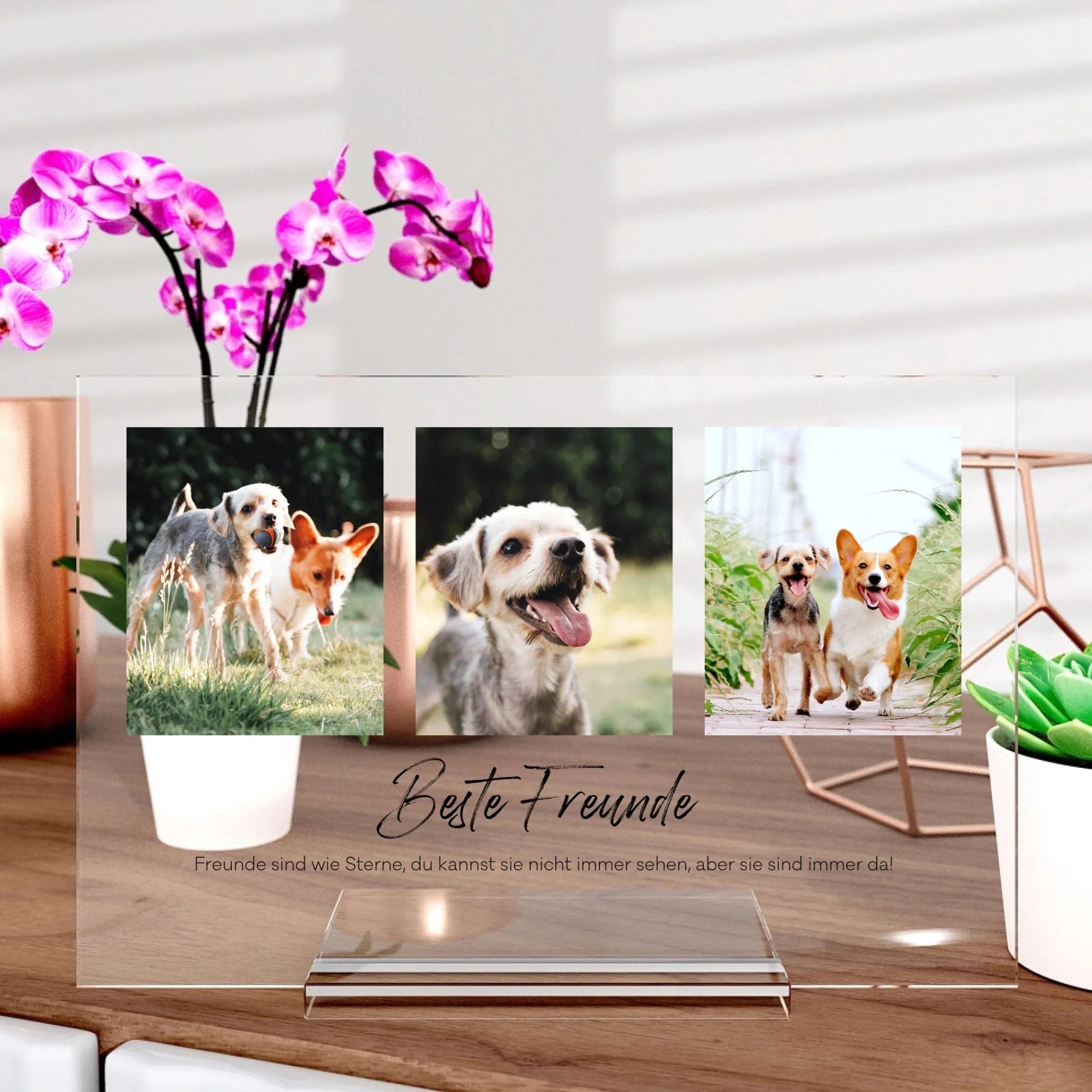 Tier-Aufsteller aus Glas - Aufsteller von Schmidt Digitaldruck GmbH