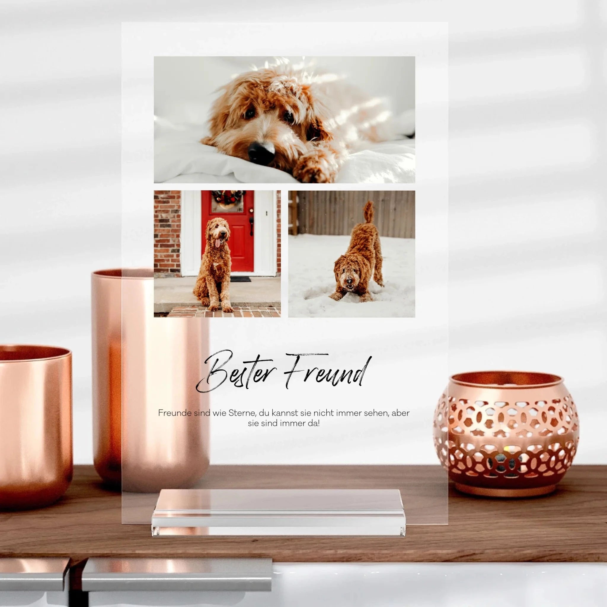 Tier-Aufsteller aus Glas - Aufsteller von Schmidt Digitaldruck GmbH