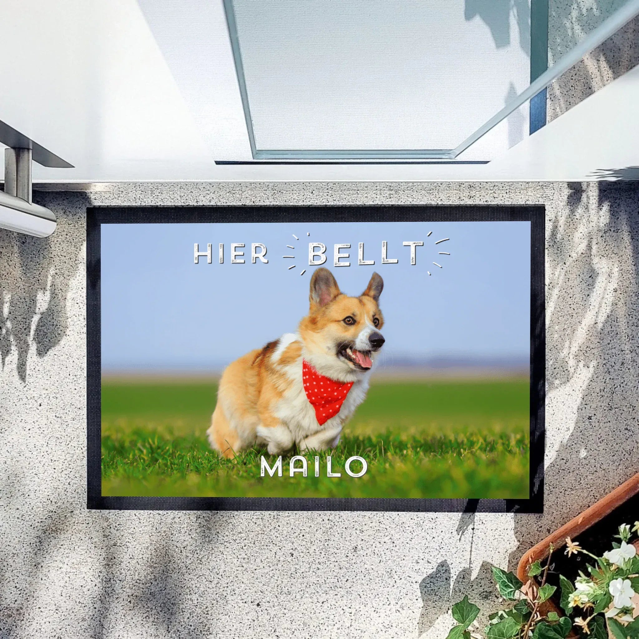 Fußmatte "Hier bellt..." - Fußmatte Fußmatte "Gummirand" / weiß / 60 x 40 cm von Schmidt Digitaldruck GmbH