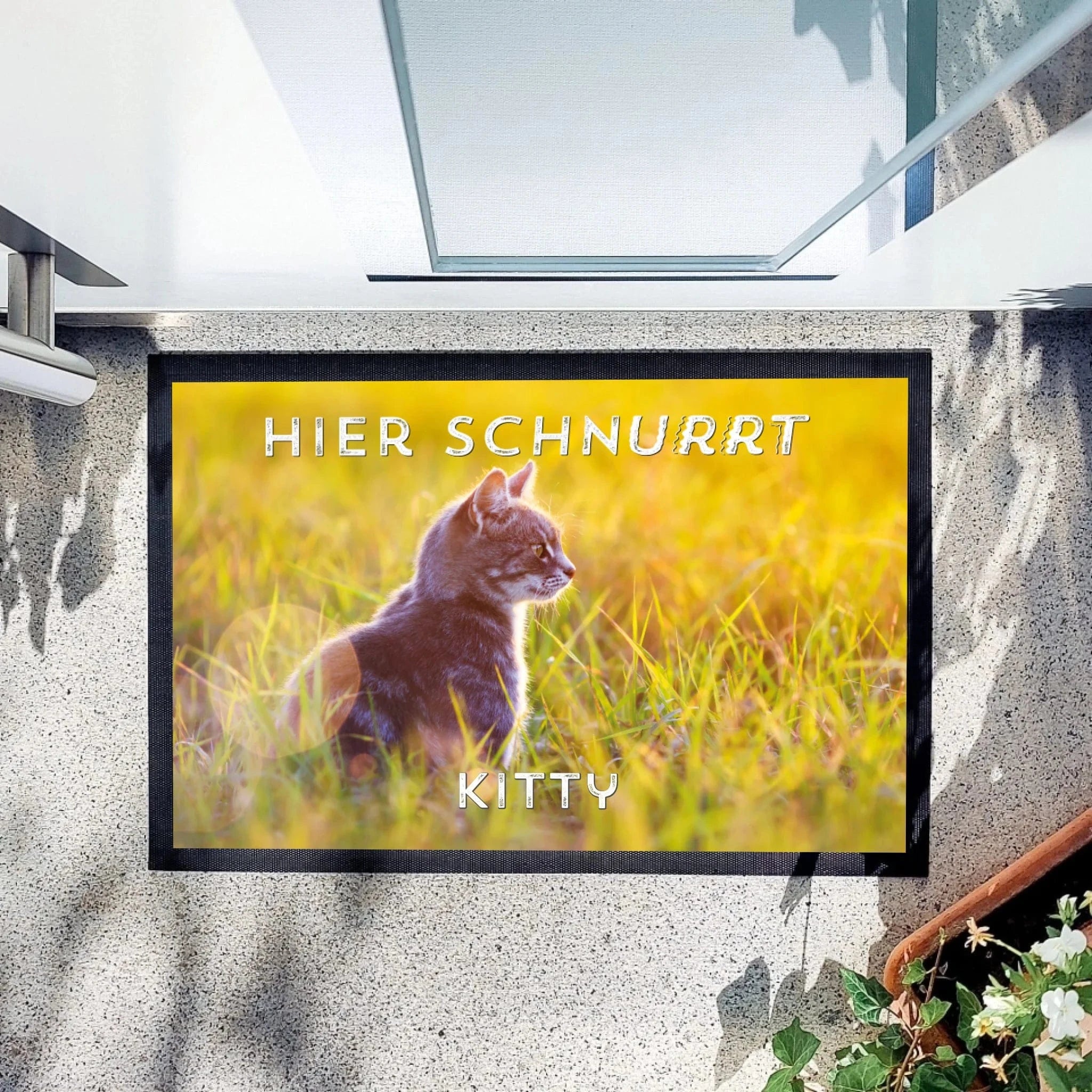 Fußmatte "Hier schnurrt..." - Fußmatte Fußmatte "Gummirand" / weiß / 60 x 40 cm von Schmidt Digitaldruck GmbH