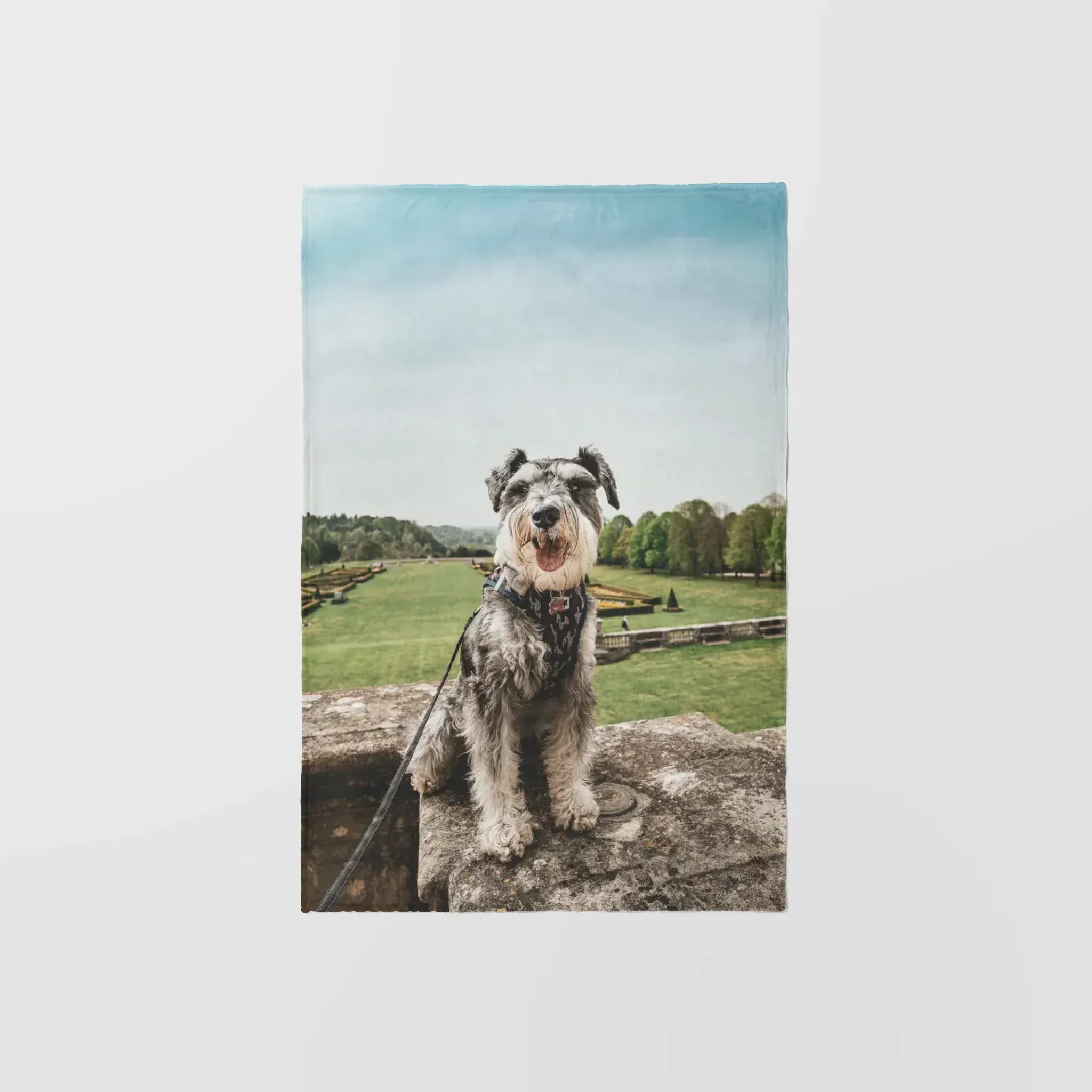 Foto als Kuscheldecke - Textil Fotodecke / weiß / 100 x 150 cm von Schmidt Digitaldruck GmbH