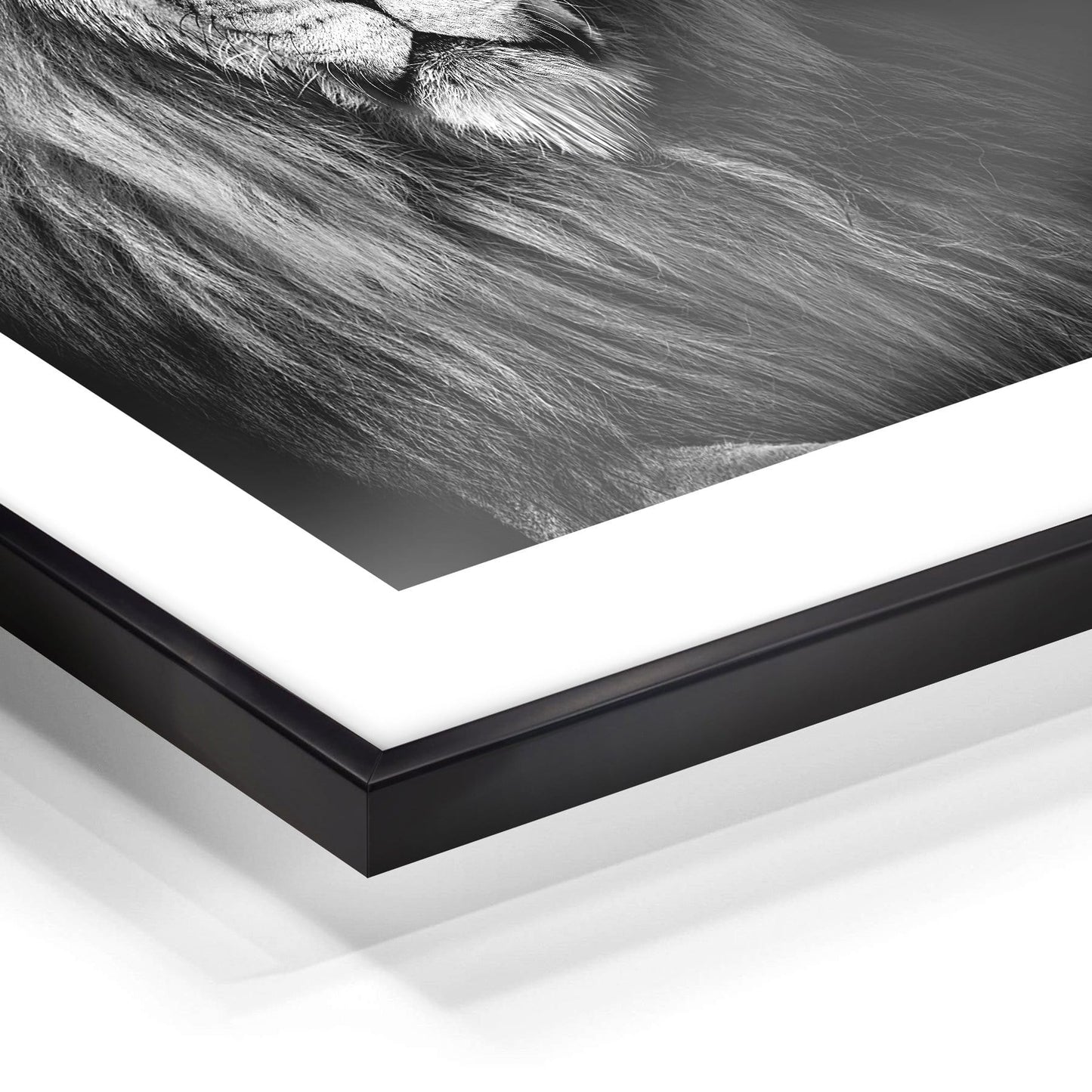Wandkunst "Löwe" im Nielsen-Rahmen - von FOTO.online