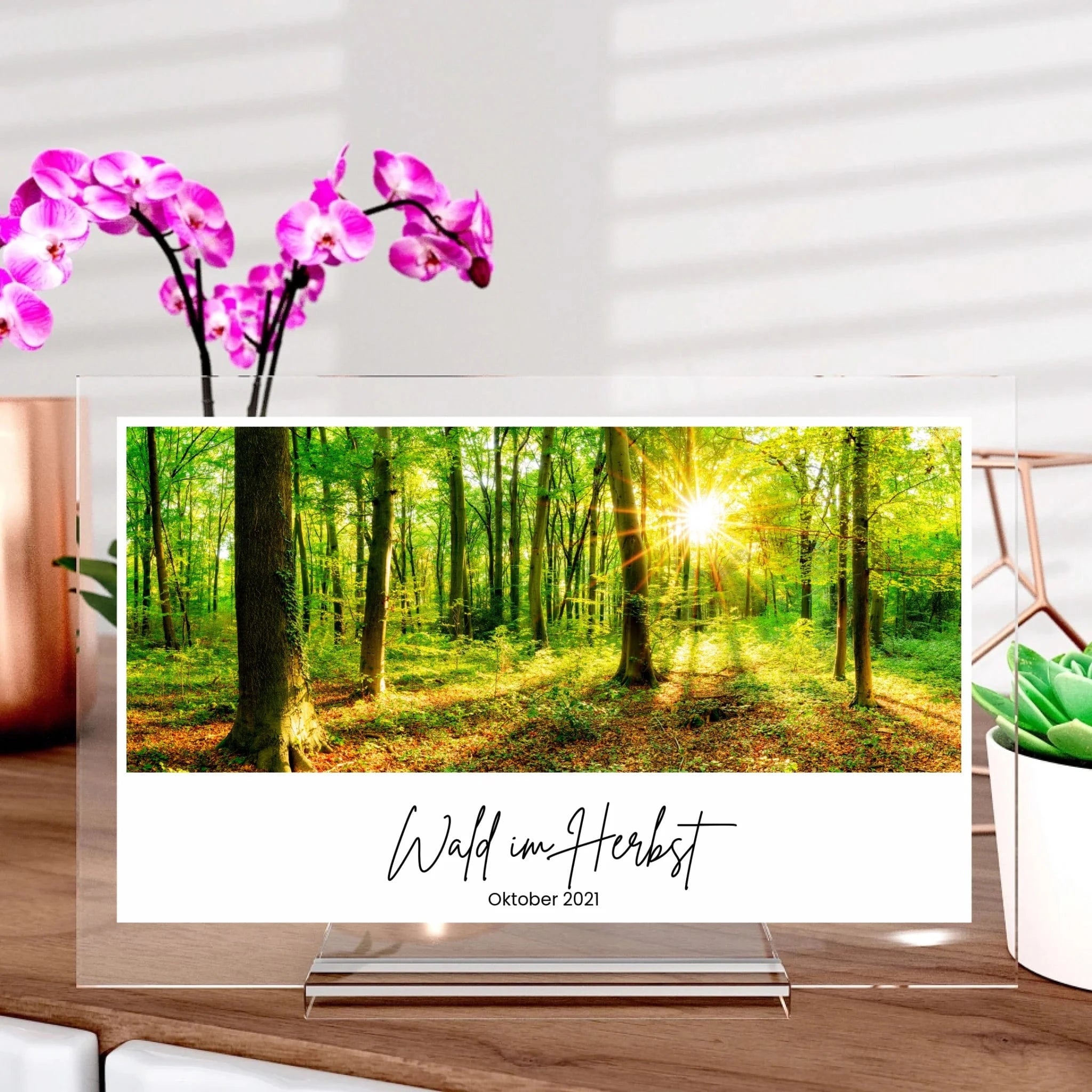 Moderner Fotoaufsteller aus Glas - Aufsteller Acrylglas-Fotoaufsteller - Hoch-/Querformat / Querformat / 20x30 cm von Schmidt Digitaldruck GmbH