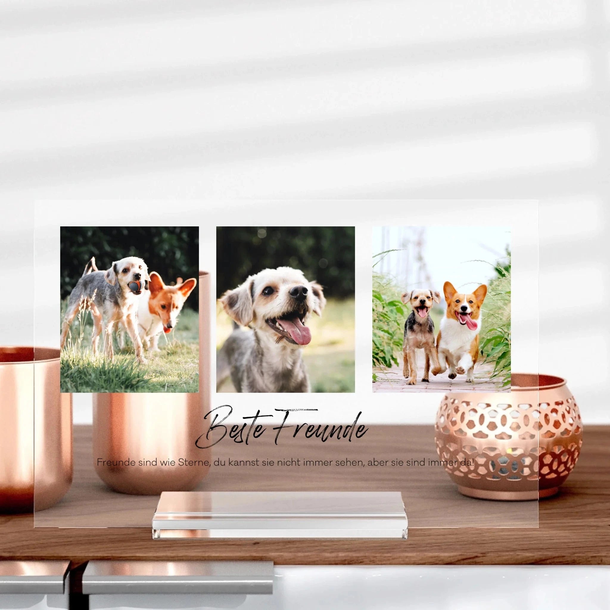 Tier-Aufsteller aus Glas - Aufsteller von Schmidt Digitaldruck GmbH