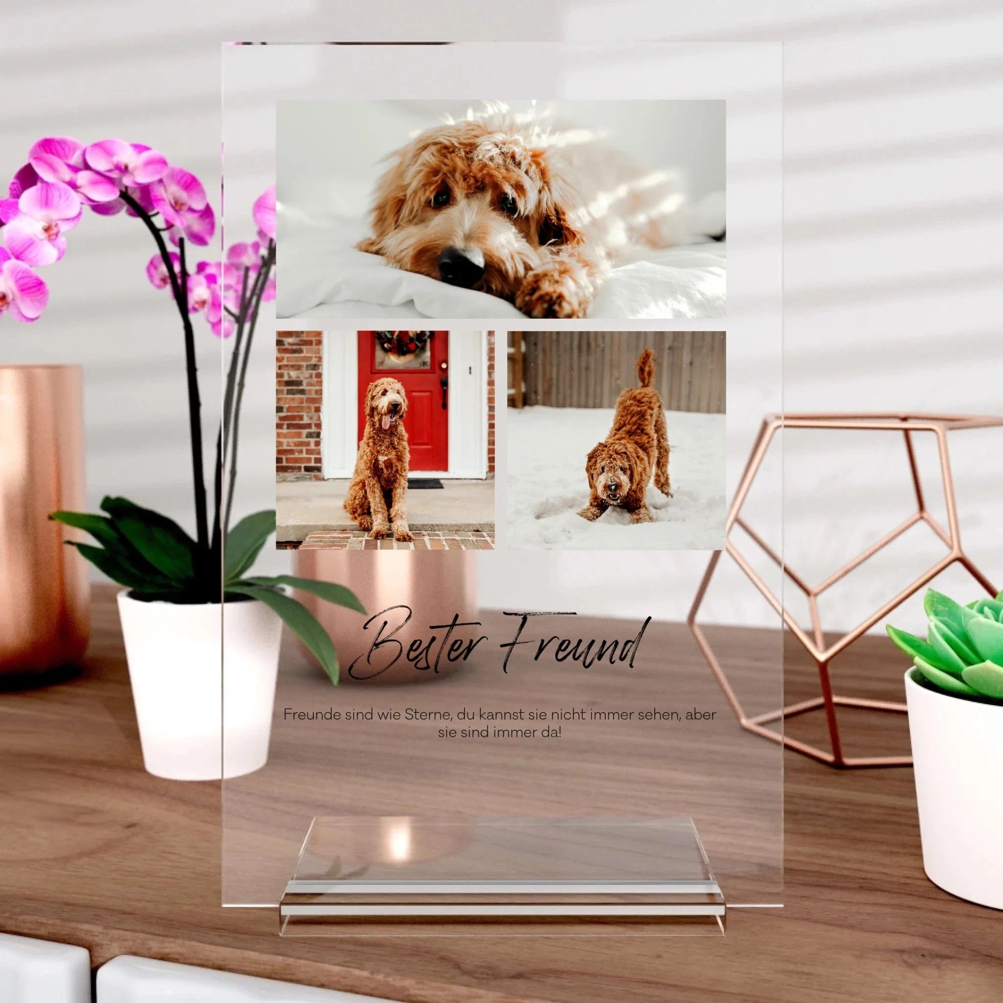 Tier-Aufsteller aus Glas - Aufsteller von Schmidt Digitaldruck GmbH