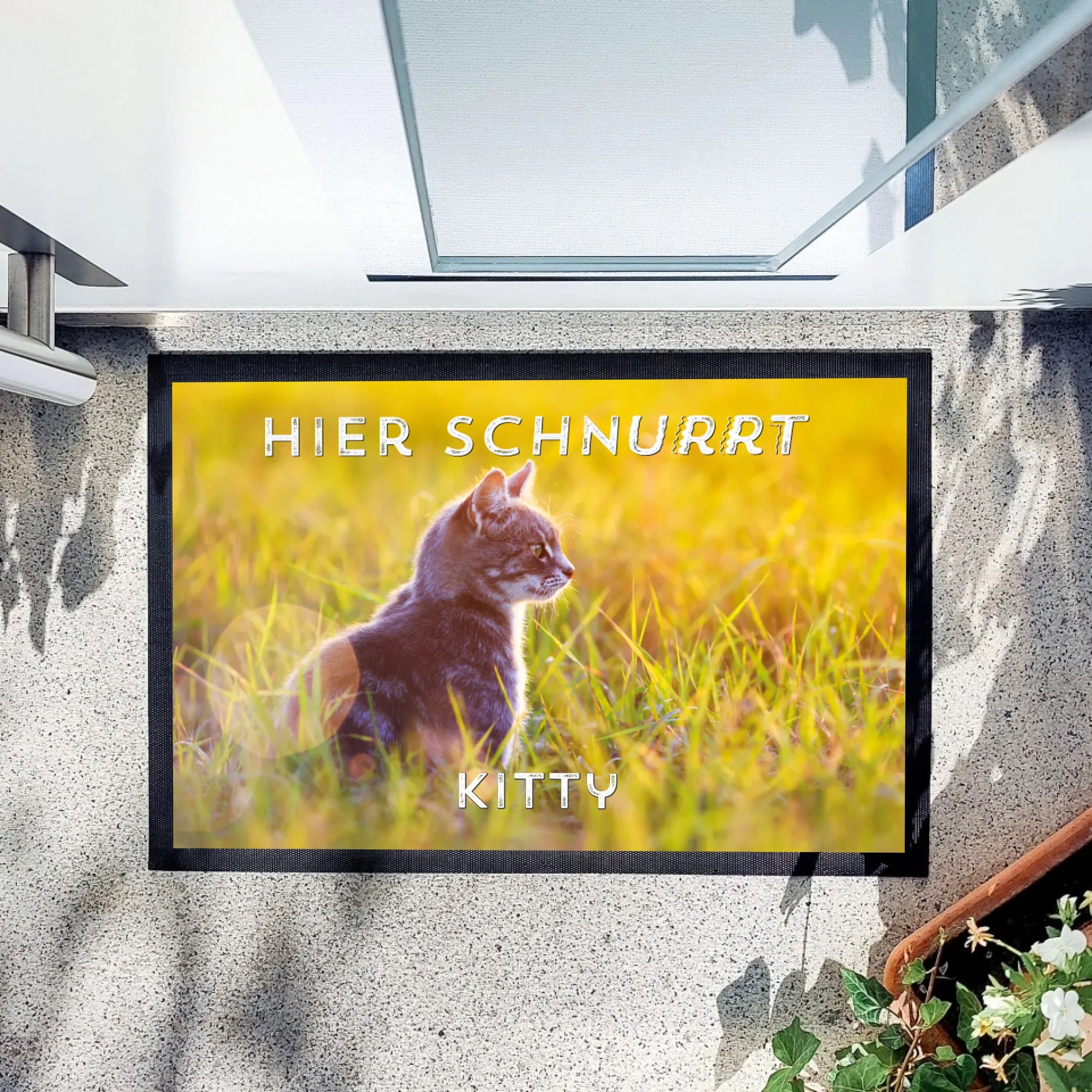 Fußmatte "Hier schnurrt..." - Fußmatte Fußmatte "Gummirand" / weiß / 60 x 40 cm von Schmidt Digitaldruck GmbH