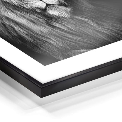 Wandkunst "Löwe" im Nielsen-Rahmen - von FOTO.online