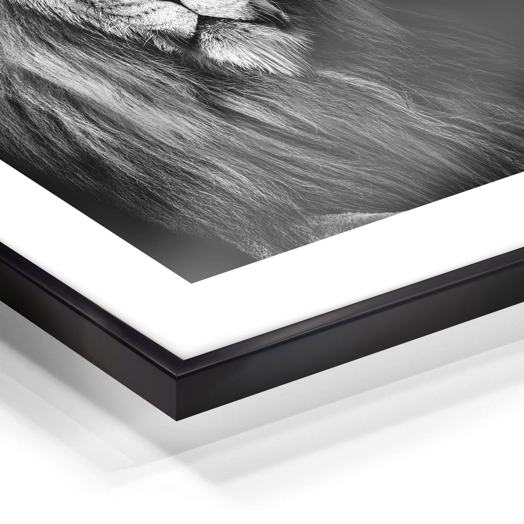 Wandkunst "Löwe" im Nielsen-Rahmen - von FOTO.online